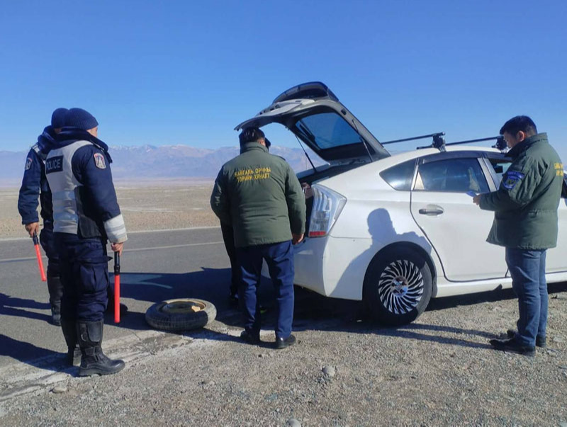 Хууль бус ан агнуур буурахгүй байна: 165 зөрчил илрүүлж, 669 амьтан хууль бусаар агнасныг тогтоожээ